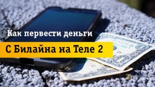 Перевод денег с Beeline на Tele2: 3 быстрых способа