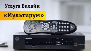Обзор плюсов и минусов использования услуги «Мультирум»