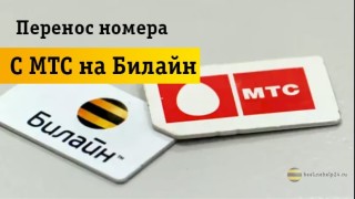 Как перейти с МТС на Билайн с сохранением своего номера