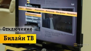 Порядок отключения услуги «Beeline ТВ»