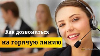 Чем может помочь звонок на горячую линию Beeline