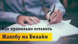 Как без проблем и грамотно оставить жалобу в Beeline