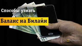 Простые способы оперативно проверить свой баланс