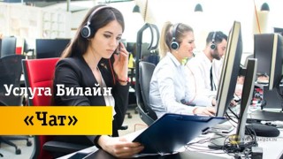 Преимущества использования «Чата» от Beeline
