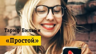 Особенности использования тарифа «Простой»