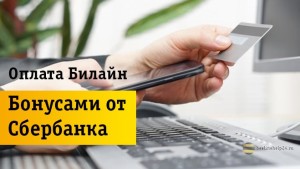 Оплата бонусами «Спасибо» от Сбербанка