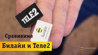 Beeline или Tele2 — как выбрать лучшего