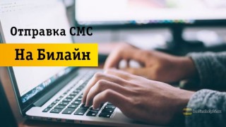Как бесплатно отправить SMS на Beeline
