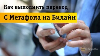 Проще простого: как быстро перевести деньги с Megafone на Beeline