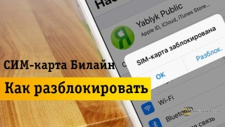 4 совета, как разблокировать сим-карту Beeline самостоятельно