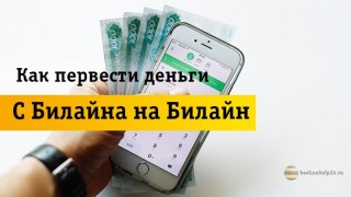 Самые удобные способы для перевода денег с Beeline на Beeline
