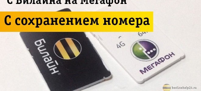 Как сохранить свой номер Beeline при переходе на Megafon