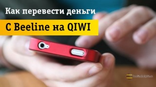 3 легких способа перевода денег с Beeline на кошелек QIWI